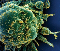 Serving the chemical, life science, and laboratory worlds