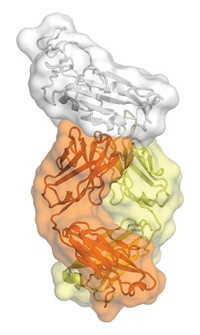 Serving the chemical, life science, and laboratory worlds