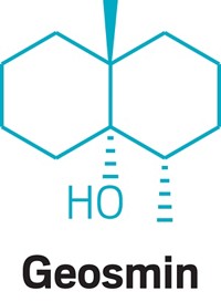 Serving the chemical, life science, and laboratory worlds