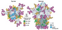 Serving the chemical, life science, and laboratory worlds