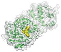 Serving the chemical, life science, and laboratory worlds