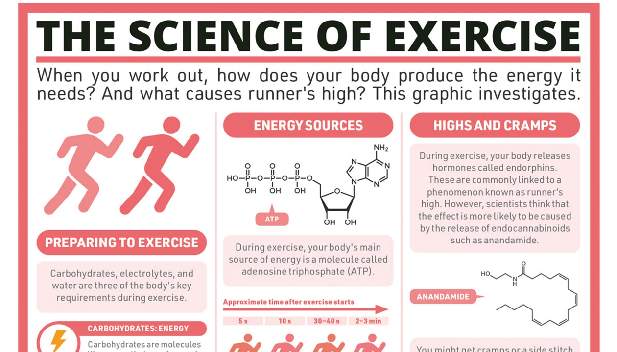 Periodic Graphics: The science of exercise