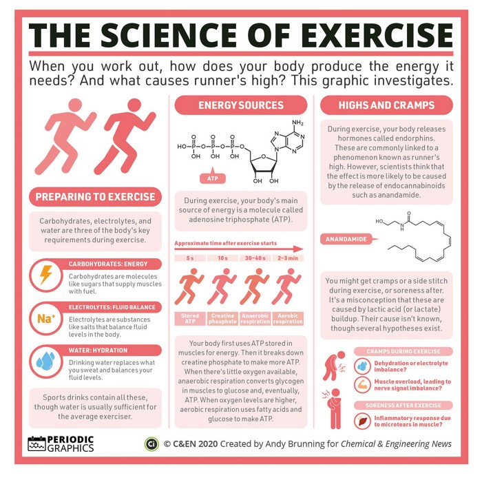 periodic-graphics-the-science-of-exercise