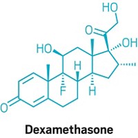 Serving the chemical, life science, and laboratory worlds