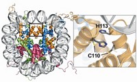 Serving the chemical, life science, and laboratory worlds