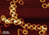 Serving the chemical, life science, and laboratory worlds
