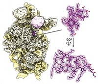 Serving the chemical, life science, and laboratory worlds