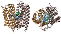 Serving the chemical, life science, and laboratory worlds