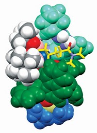 Serving the chemical, life science, and laboratory worlds