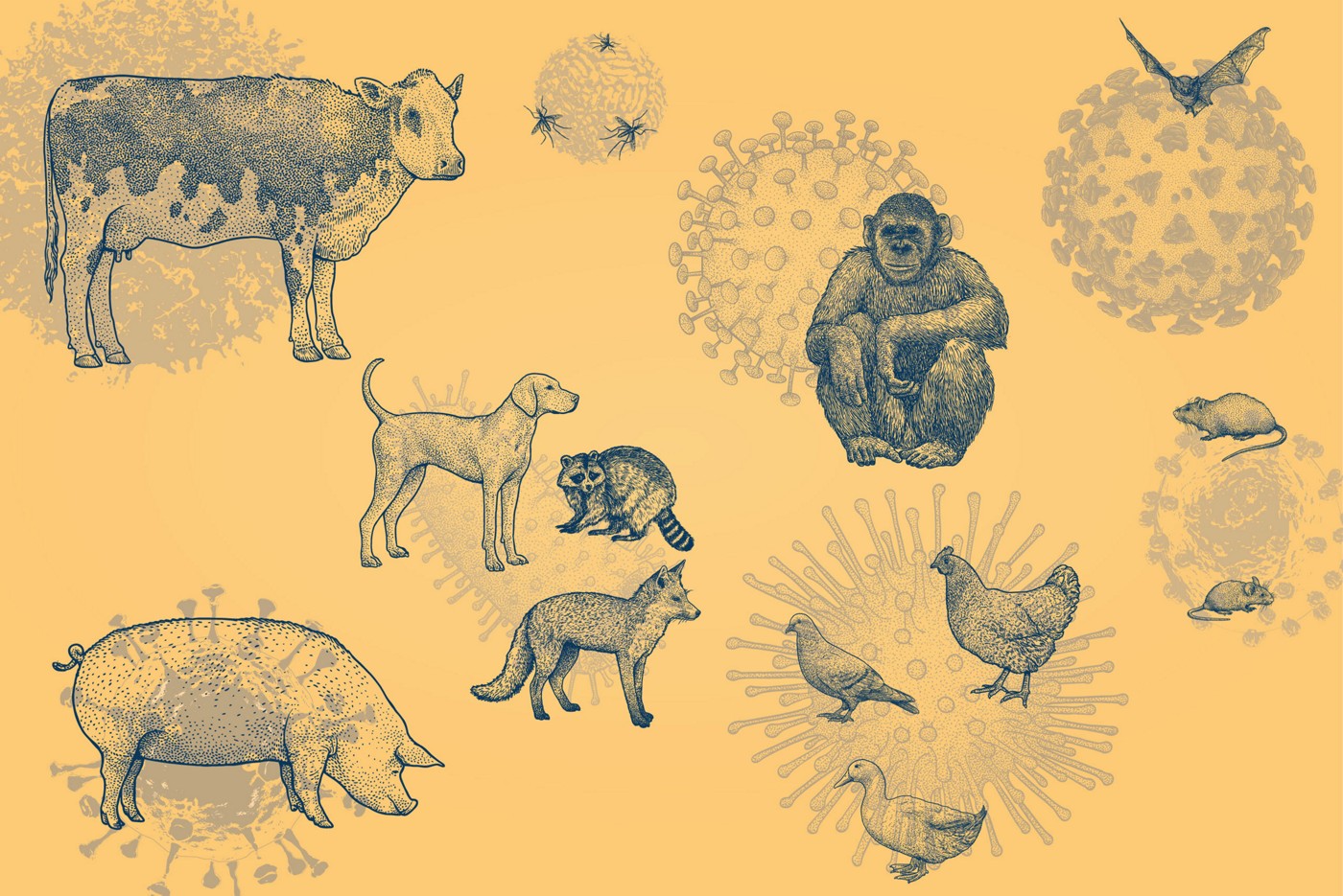 Can Dog Viruses Be Spread To Humans