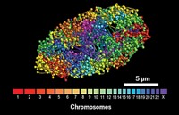 Serving the chemical, life science, and laboratory worlds