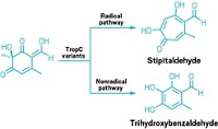 Serving the chemical, life science, and laboratory worlds