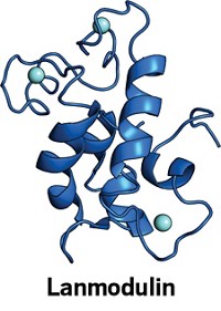 Serving the chemical, life science, and laboratory worlds