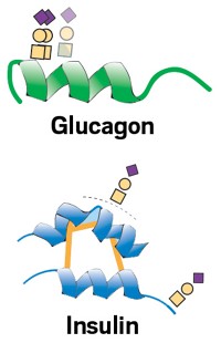 Serving the chemical, life science, and laboratory worlds