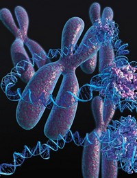Serving the chemical, life science, and laboratory worlds