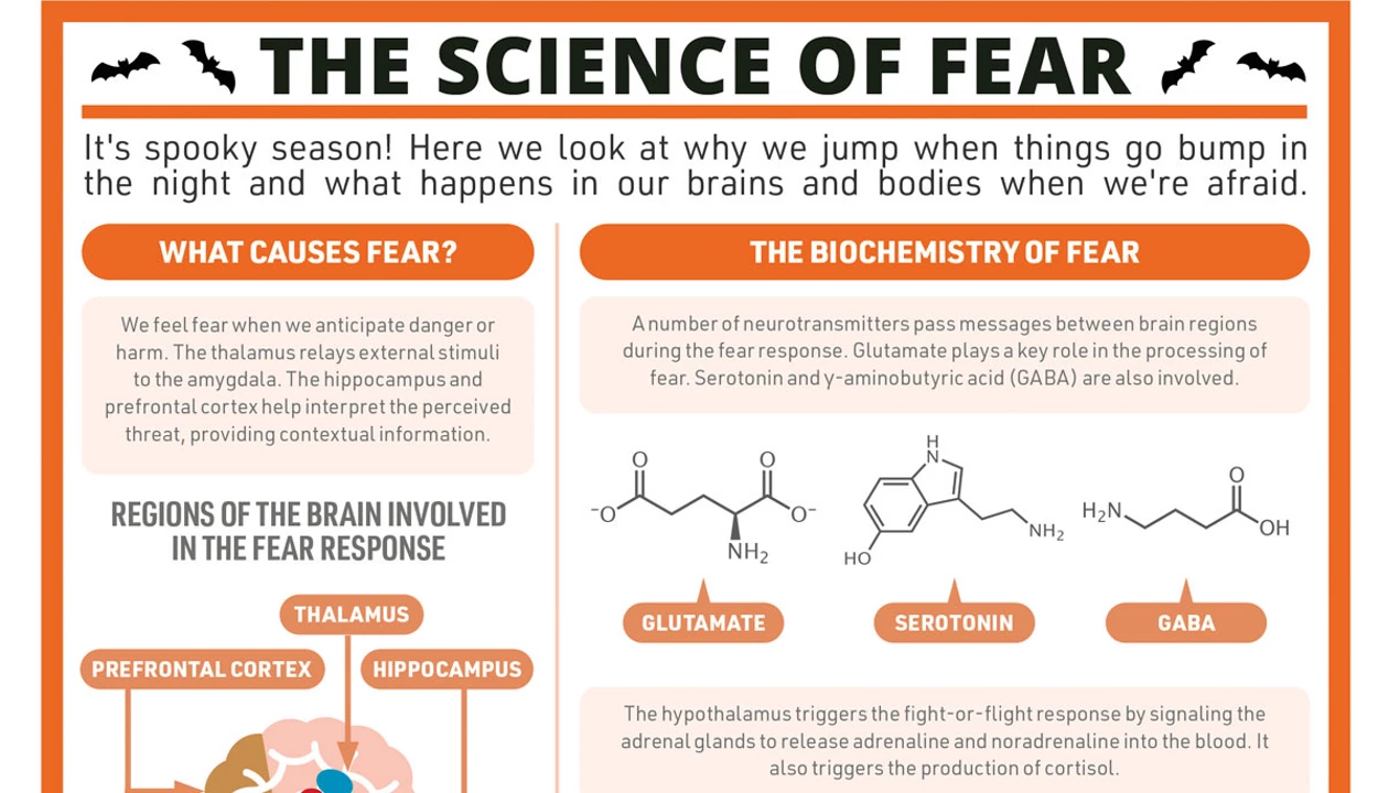Periodic Graphics: The science of fear