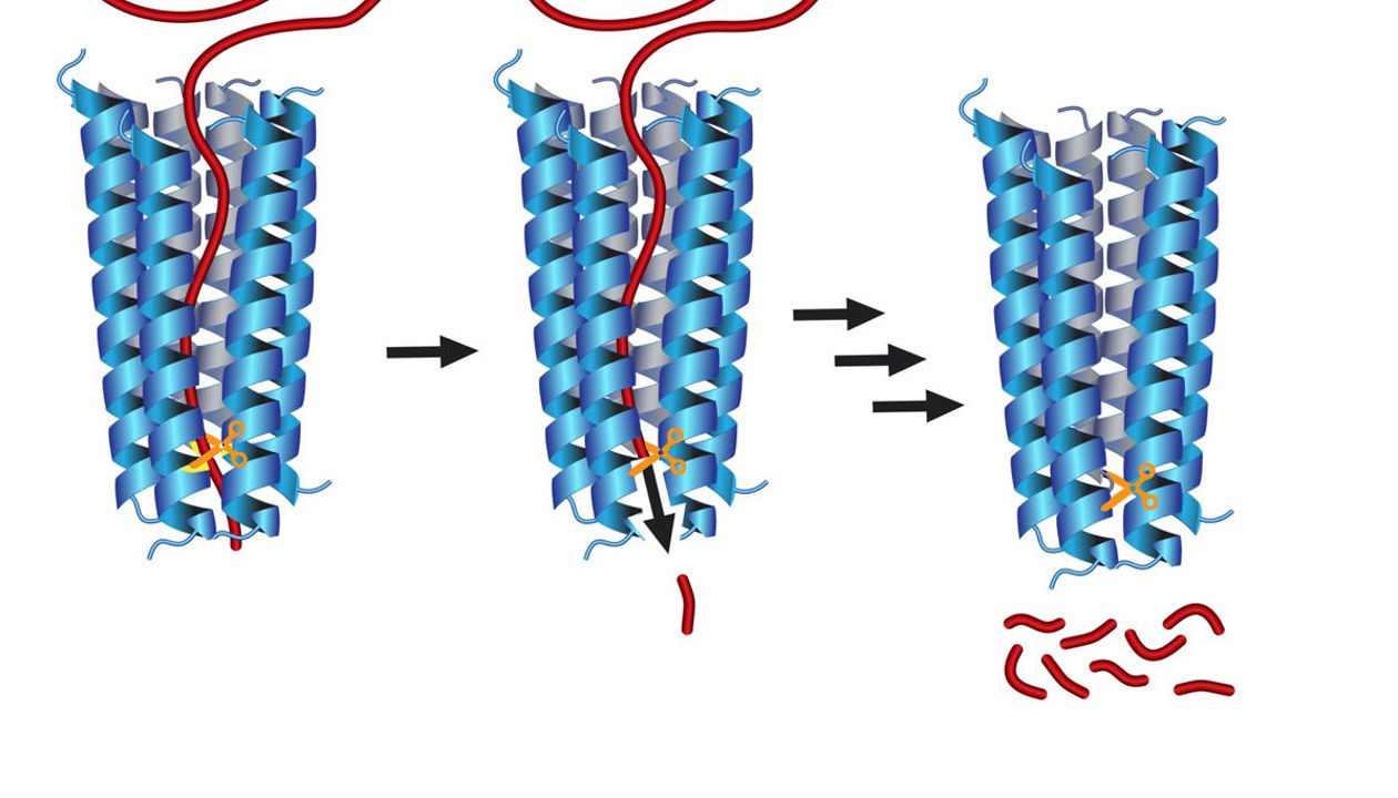 Catalyst deconstructs polyethylene, producing valuable alkanes