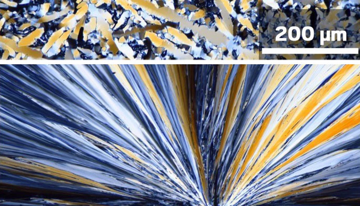 New crystal form of insecticide found