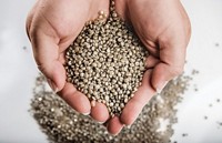 Albemarle-Unveils-Catalyst-Technology