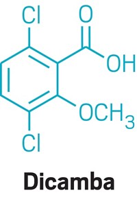 Serving the chemical, life science, and laboratory worlds