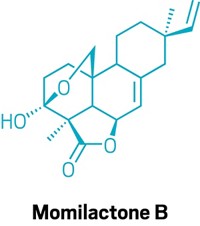 Serving the chemical, life science, and laboratory worlds