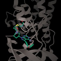 Serving the chemical, life science, and laboratory worlds