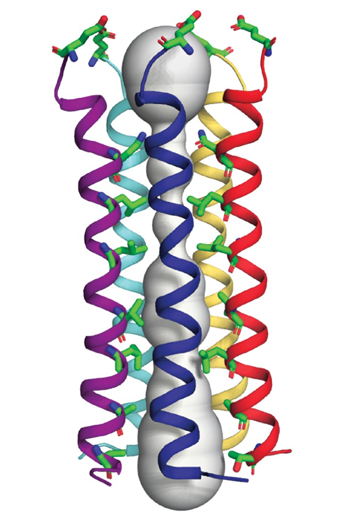 Structure of SARSCoV2 envelope protein solved by NMR