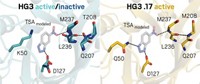 Serving the chemical, life science, and laboratory worlds