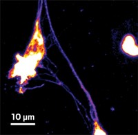 Serving the chemical, life science, and laboratory worlds