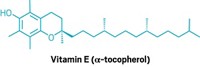 Serving the chemical, life science, and laboratory worlds