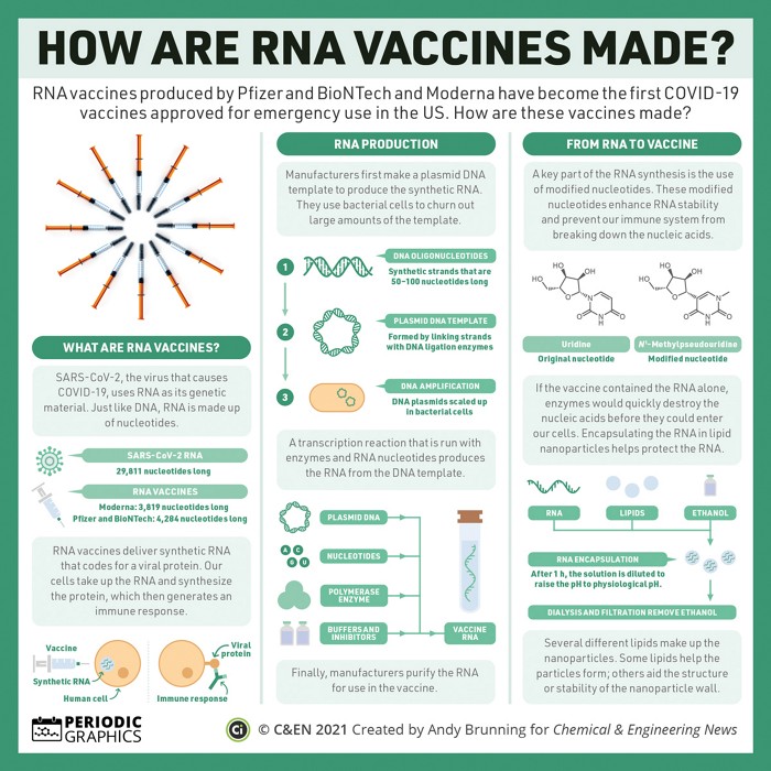 Рнк вакцины. РНК-вакцина. МРНК вакцина. РНК-вакцина компании. Moderna. РНК-вакцина компании Pfizer.