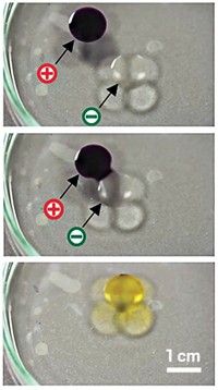 Serving the chemical, life science, and laboratory worlds