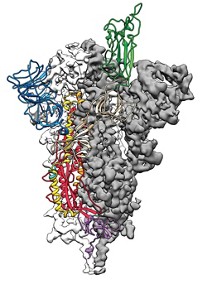 Serving the chemical, life science, and laboratory worlds