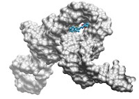 Serving the chemical, life science, and laboratory worlds