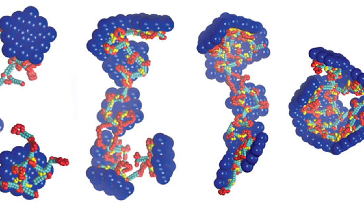 Lessons learned from watching viruses assemble