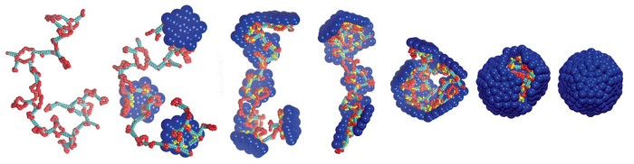ELife Lessons learned from watching viruses assemble