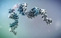 Serving the chemical, life science, and laboratory worlds