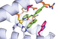 Serving the chemical, life science, and laboratory worlds