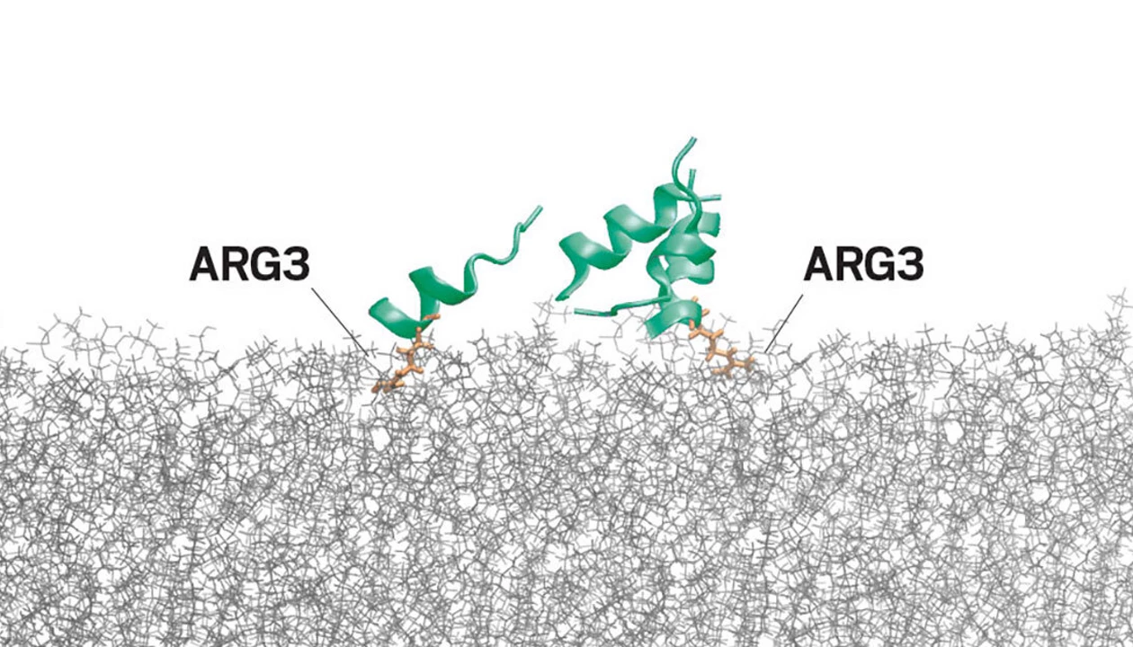 Machine learning predicts possible antimicrobial peptides