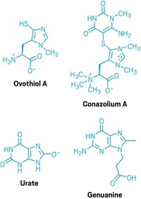 Serving the chemical, life science, and laboratory worlds