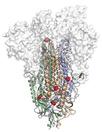 Serving the chemical, life science, and laboratory worlds