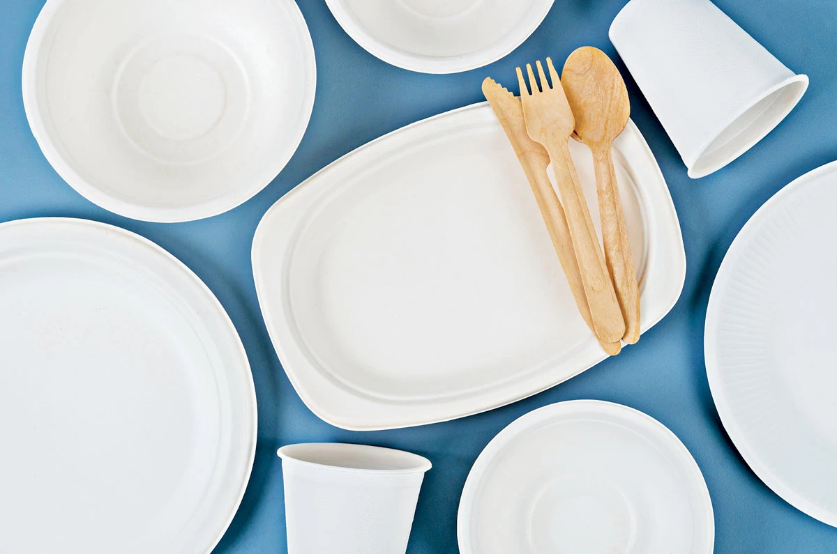 Photo shows disposable paper plates and cups and single-use wooden cutlery.