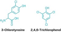Serving the chemical, life science, and laboratory worlds