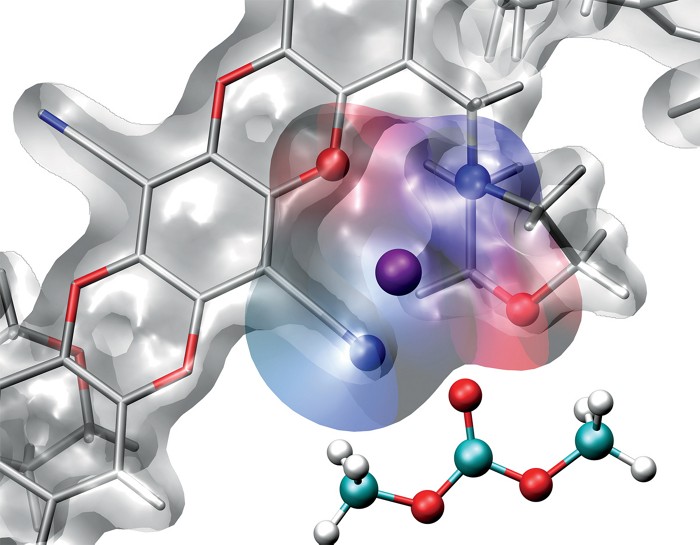 Polymer 3d Structure
