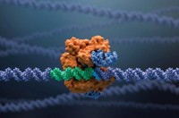 Serving the chemical, life science, and laboratory worlds