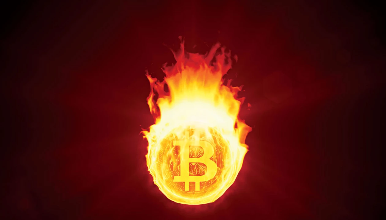 A bitcoin rush and purple maize