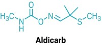 Serving the chemical, life science, and laboratory worlds