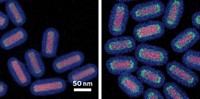 Serving the chemical, life science, and laboratory worlds