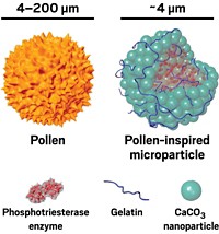 Serving the chemical, life science, and laboratory worlds