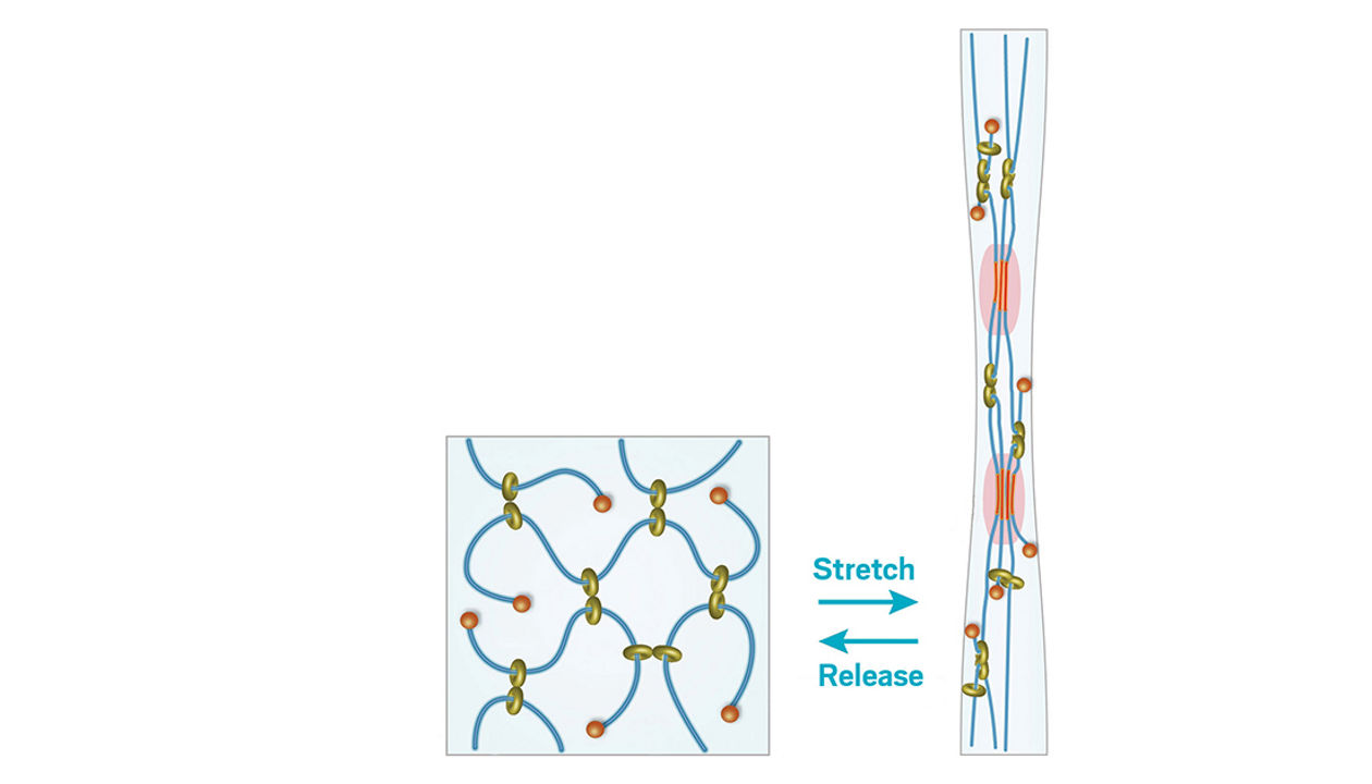 Hydrogels reinforced with rings on strings